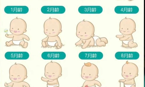 红藤 药-中药藤红的功效与作用网—知名的中药材红藤的性味归经与功效网站,分享中药红藤起什么作用知识